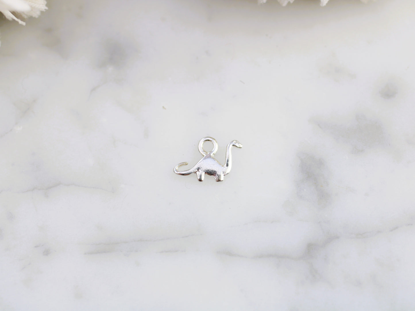 Tiny diplodocus charm.