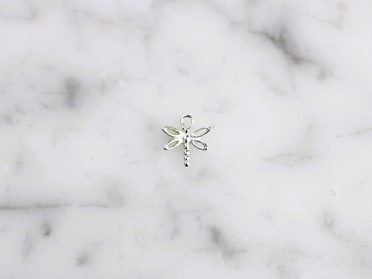 Dragonfly charm.
