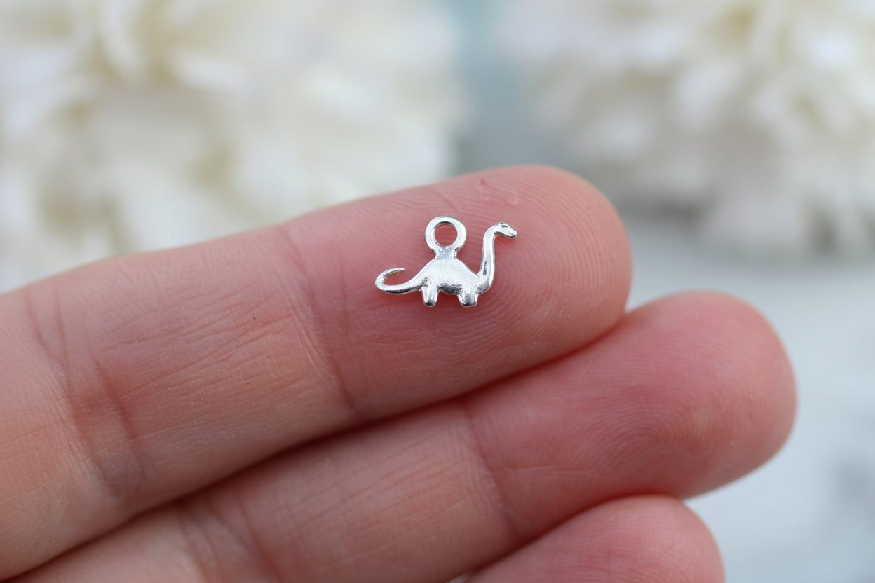 Tiny diplodocus charm.