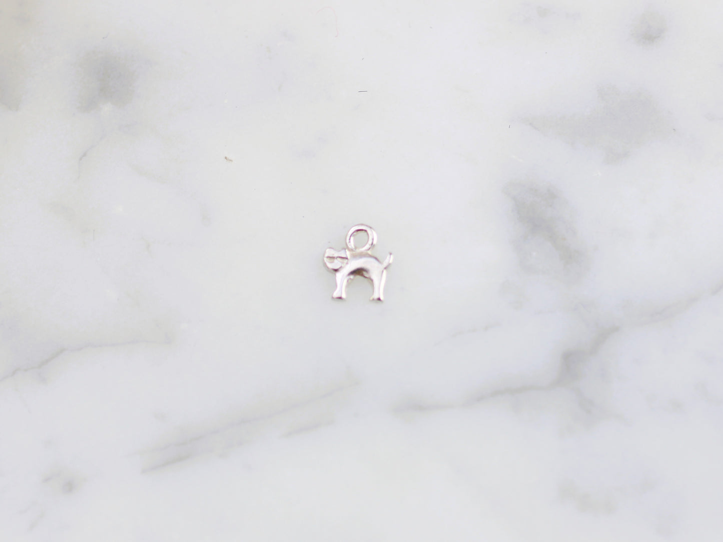 Tiny cat charm.