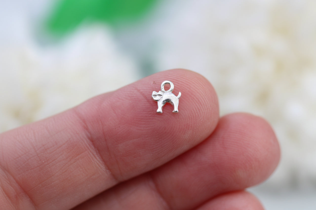 Tiny cat charm.