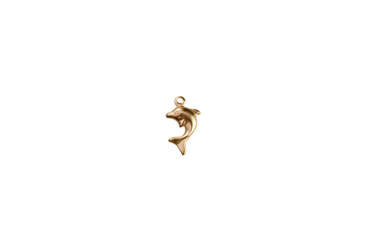 dolphin charm on a white surface