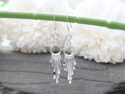 Silver tassel earrings.